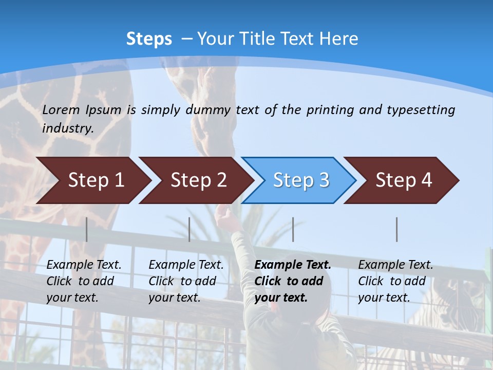 A Woman Feeding A Giraffe Through A Fence PowerPoint Template