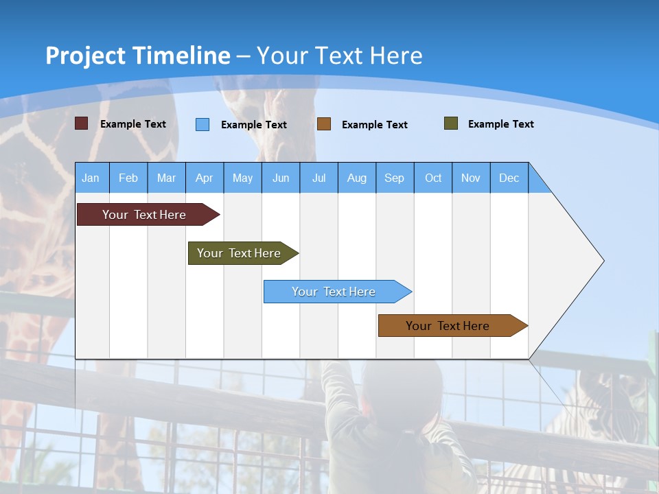 A Woman Feeding A Giraffe Through A Fence PowerPoint Template
