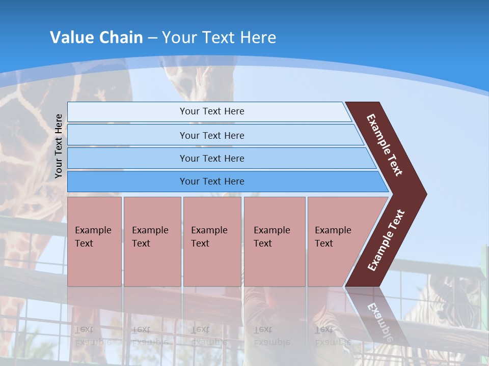 A Woman Feeding A Giraffe Through A Fence PowerPoint Template