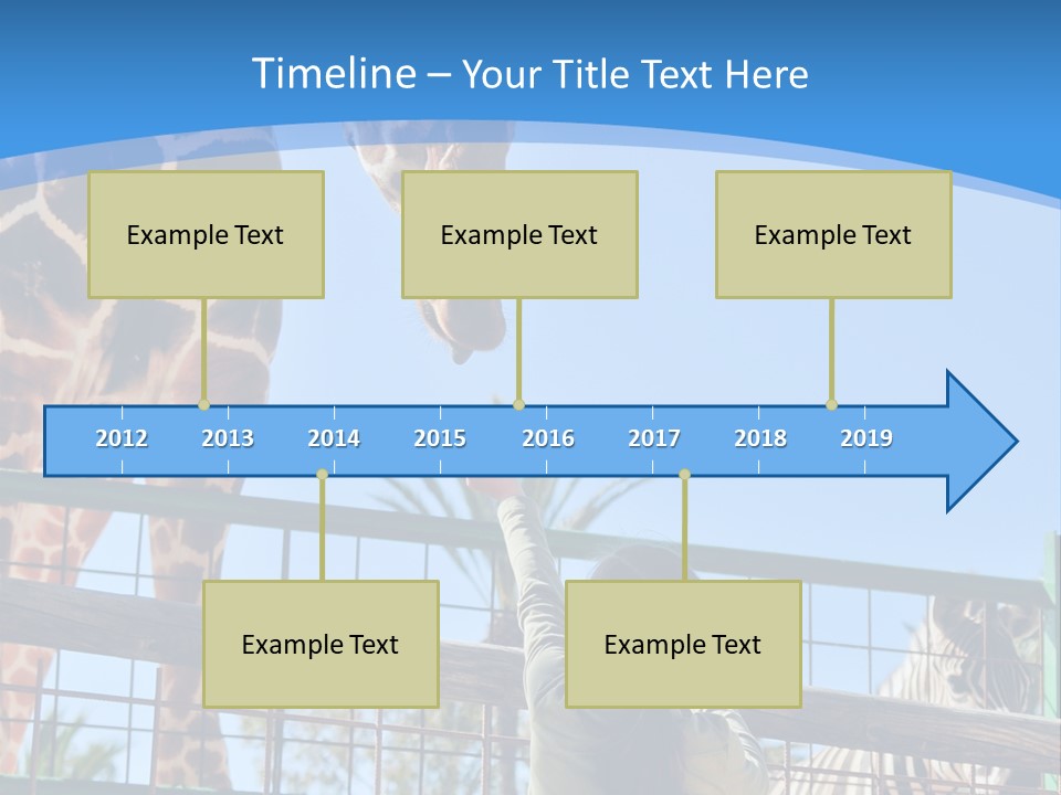 A Woman Feeding A Giraffe Through A Fence PowerPoint Template