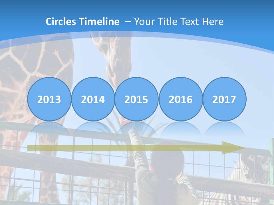 A Woman Feeding A Giraffe Through A Fence PowerPoint Template