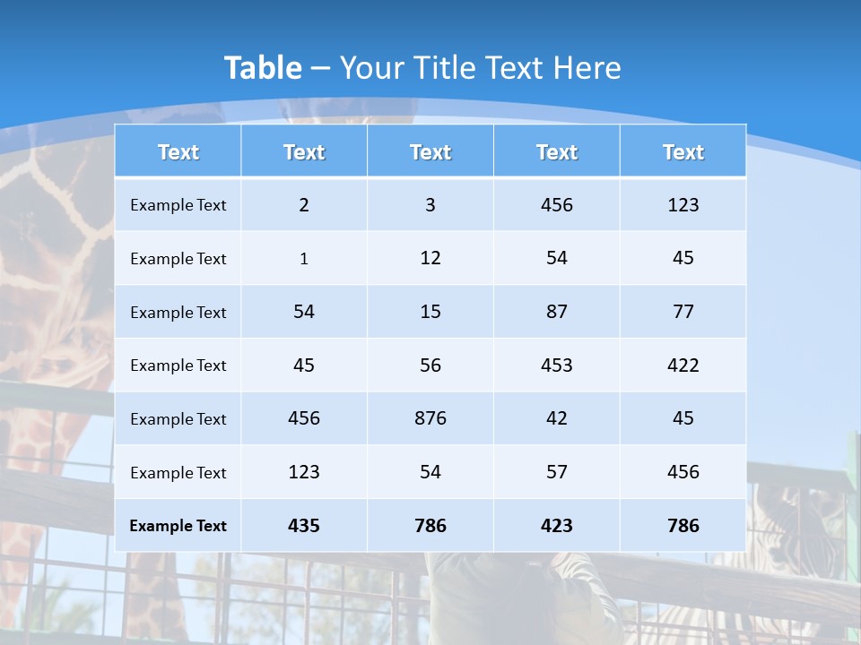A Woman Feeding A Giraffe Through A Fence PowerPoint Template