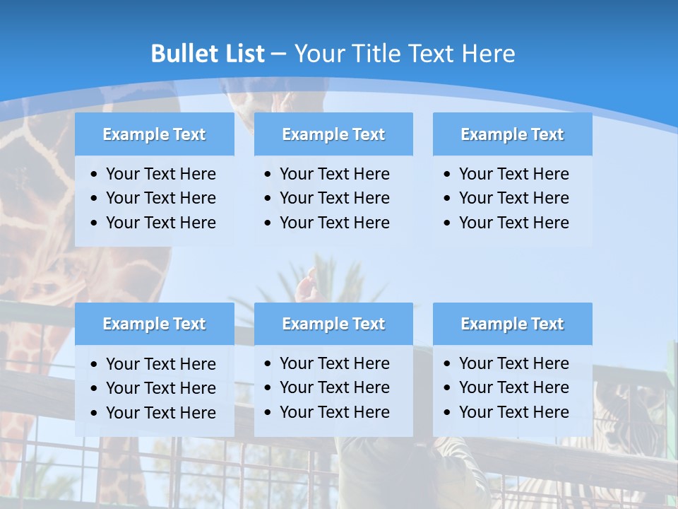 A Woman Feeding A Giraffe Through A Fence PowerPoint Template
