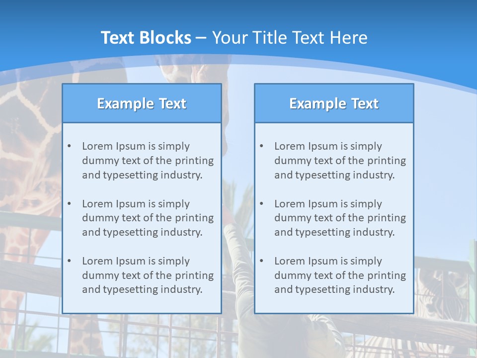 A Woman Feeding A Giraffe Through A Fence PowerPoint Template
