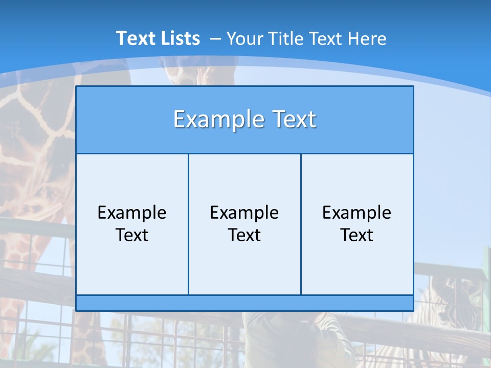 A Woman Feeding A Giraffe Through A Fence PowerPoint Template