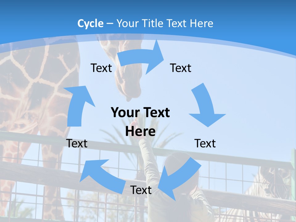 A Woman Feeding A Giraffe Through A Fence PowerPoint Template