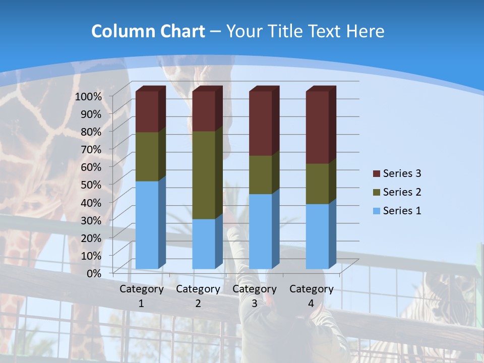 A Woman Feeding A Giraffe Through A Fence PowerPoint Template