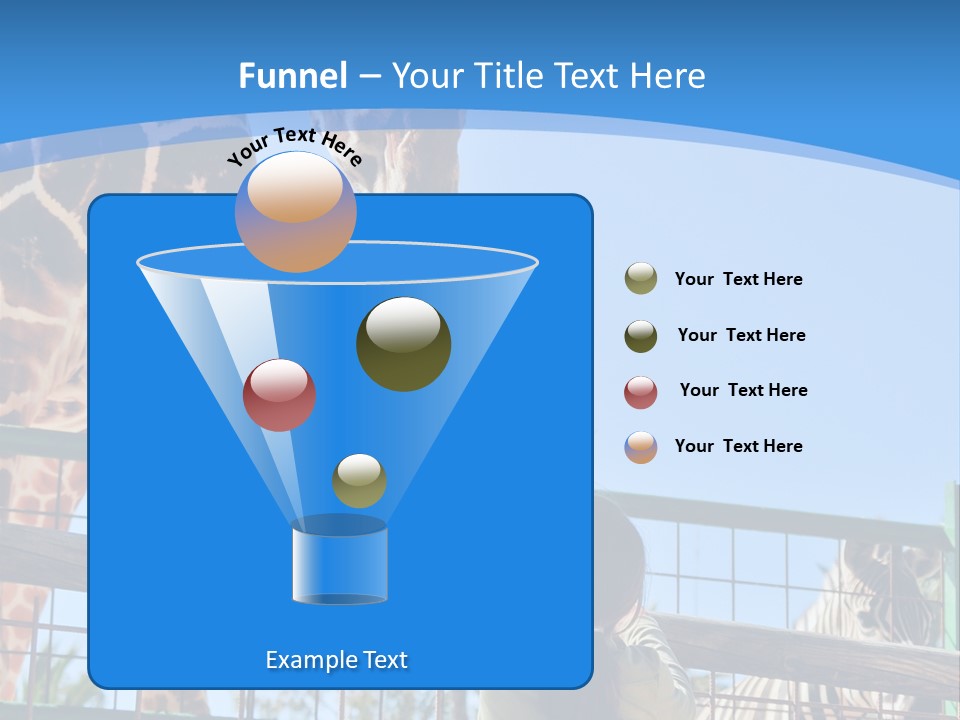 A Woman Feeding A Giraffe Through A Fence PowerPoint Template