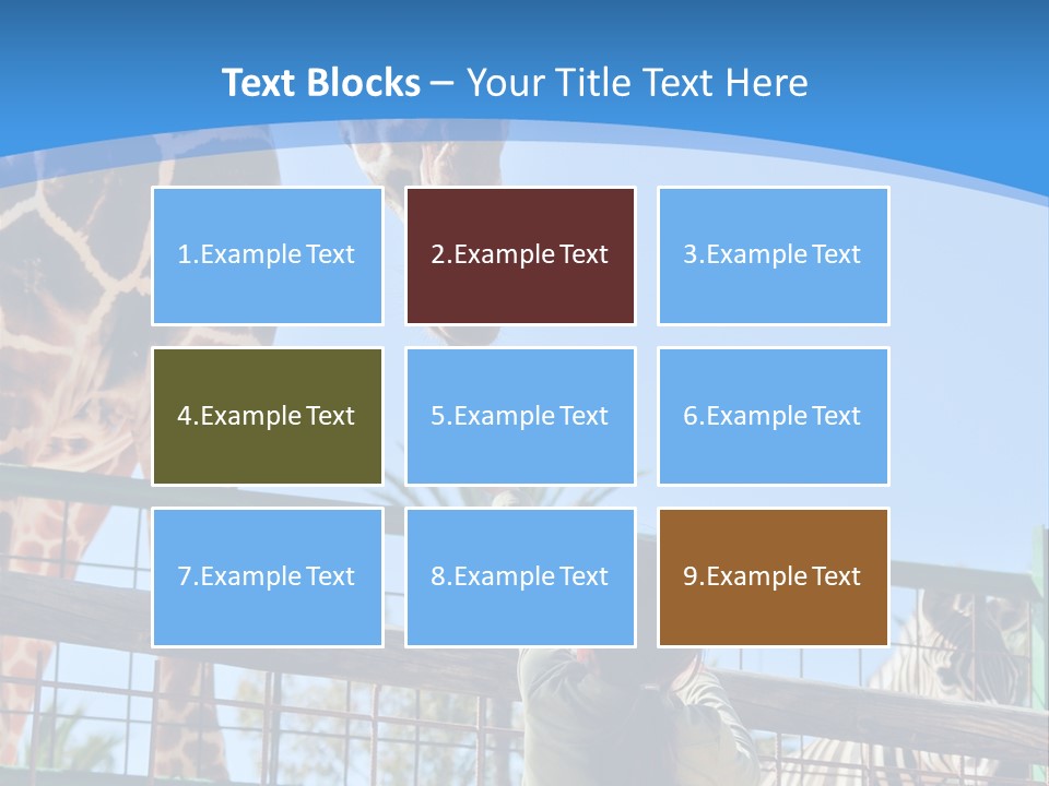 A Woman Feeding A Giraffe Through A Fence PowerPoint Template