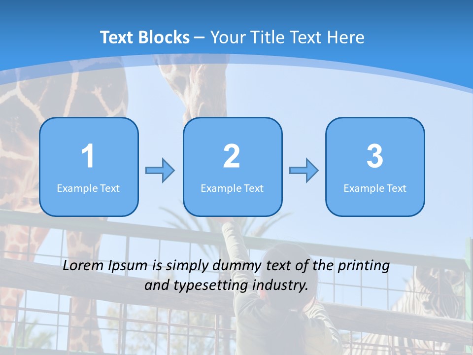 A Woman Feeding A Giraffe Through A Fence PowerPoint Template