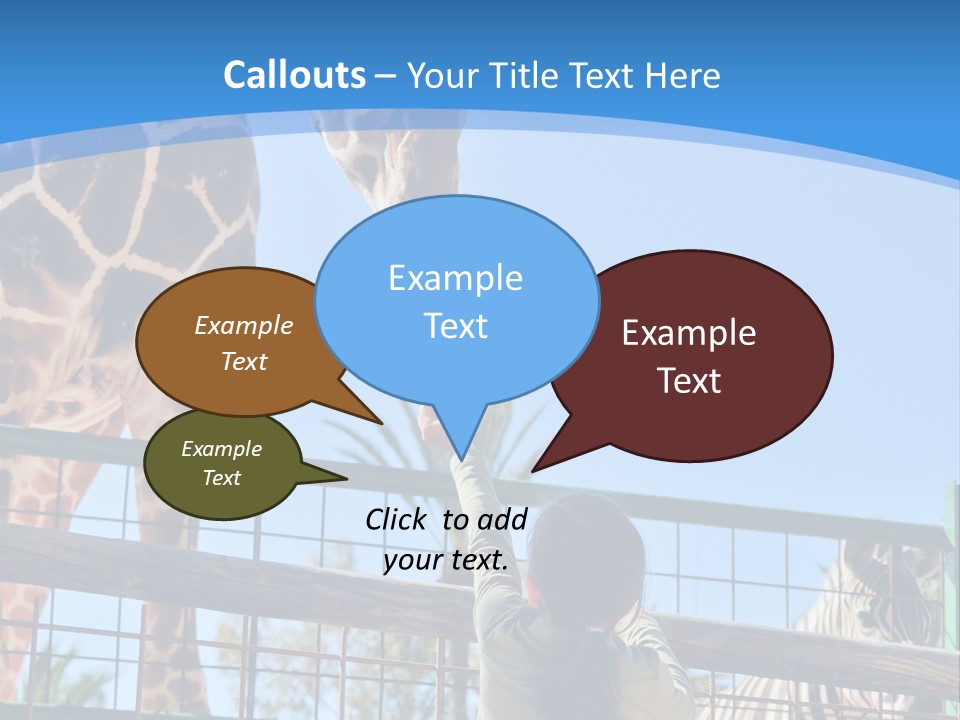 A Woman Feeding A Giraffe Through A Fence PowerPoint Template