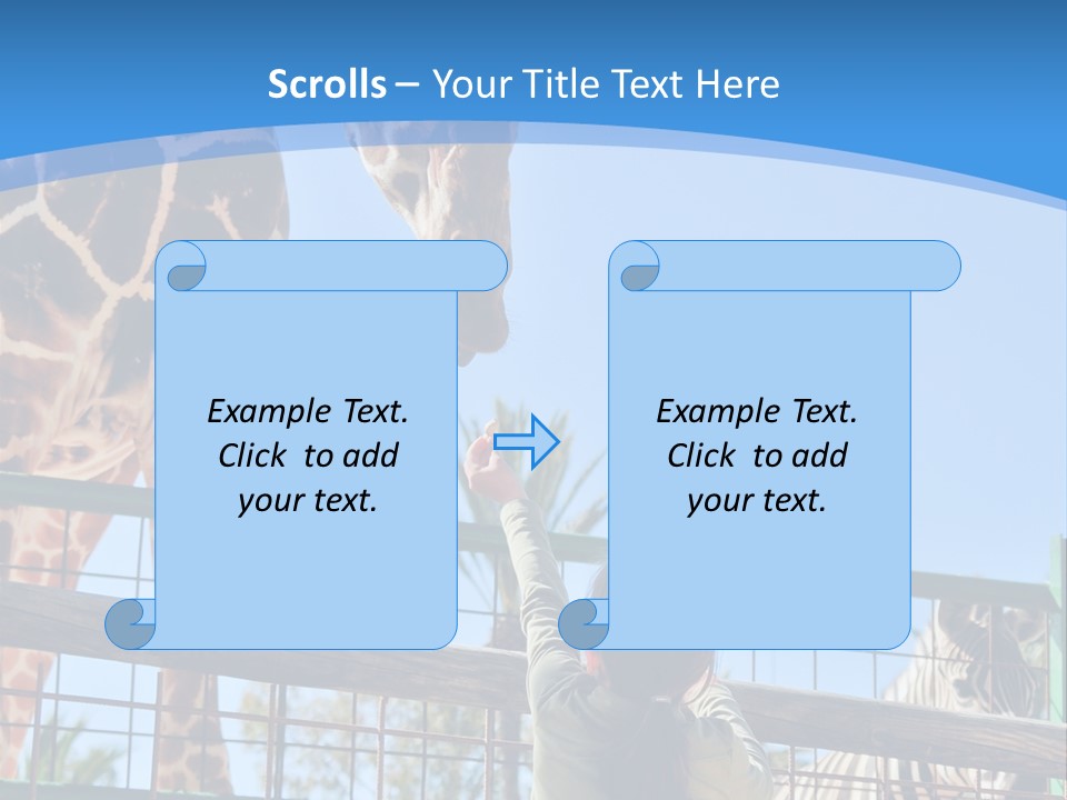 A Woman Feeding A Giraffe Through A Fence PowerPoint Template