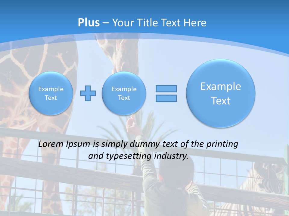 A Woman Feeding A Giraffe Through A Fence PowerPoint Template