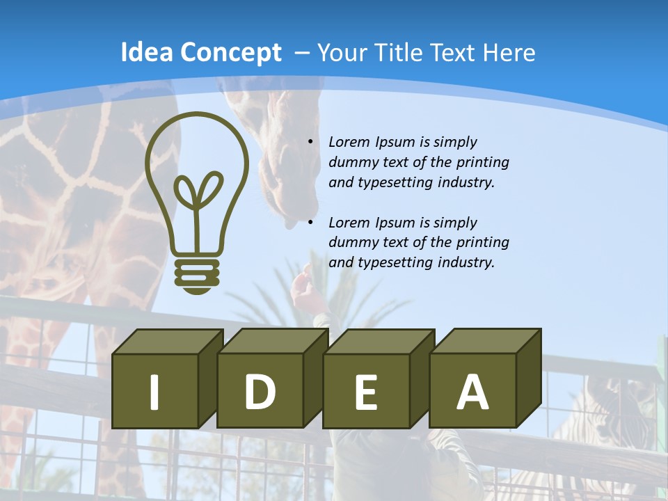 A Woman Feeding A Giraffe Through A Fence PowerPoint Template