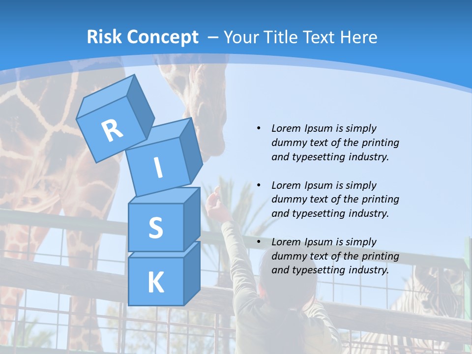 A Woman Feeding A Giraffe Through A Fence PowerPoint Template
