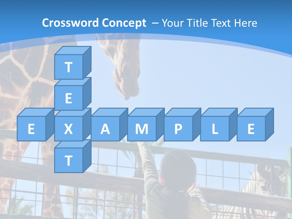 A Woman Feeding A Giraffe Through A Fence PowerPoint Template