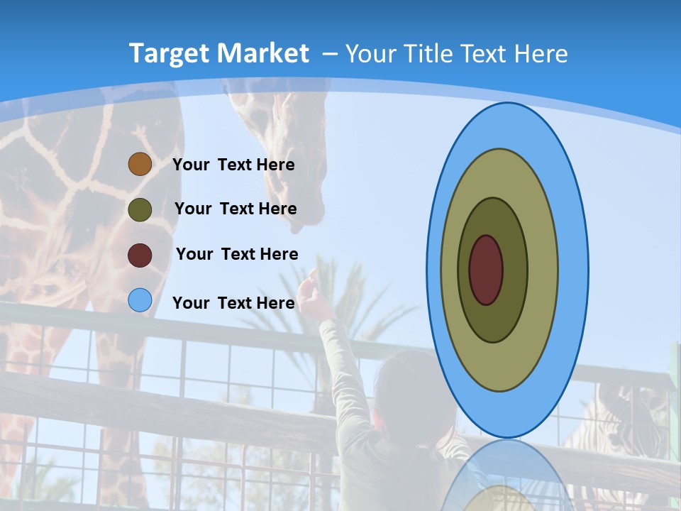 A Woman Feeding A Giraffe Through A Fence PowerPoint Template