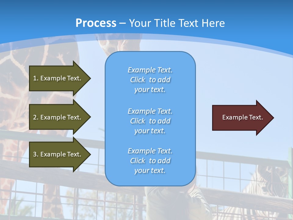 A Woman Feeding A Giraffe Through A Fence PowerPoint Template