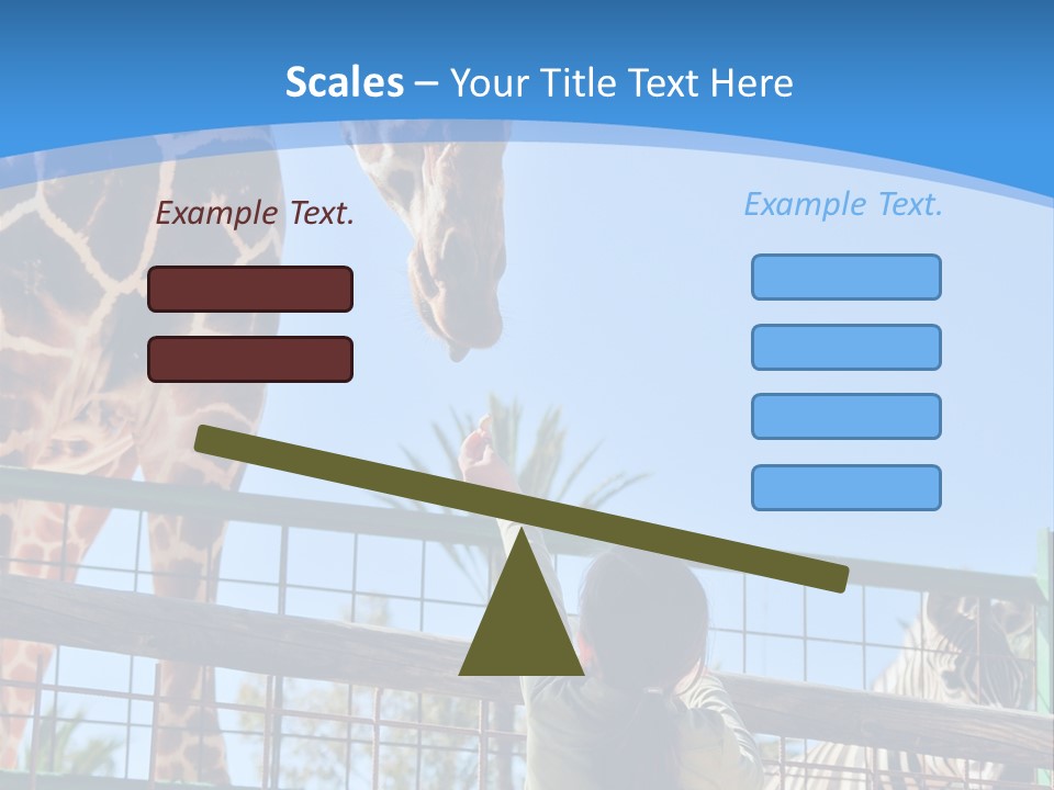 A Woman Feeding A Giraffe Through A Fence PowerPoint Template
