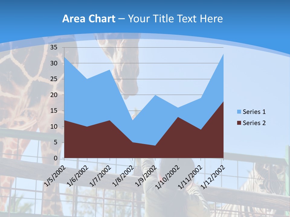 A Woman Feeding A Giraffe Through A Fence PowerPoint Template