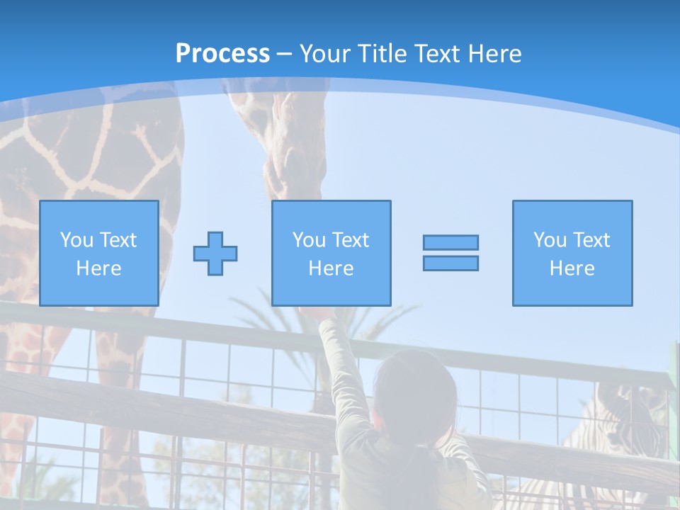 A Woman Feeding A Giraffe Through A Fence PowerPoint Template