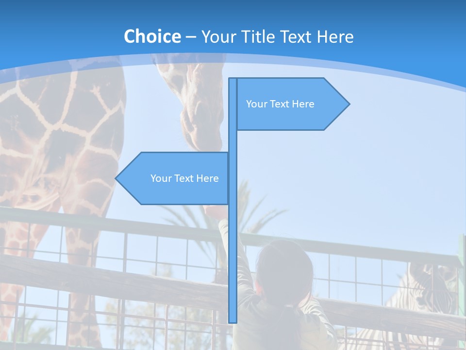 A Woman Feeding A Giraffe Through A Fence PowerPoint Template