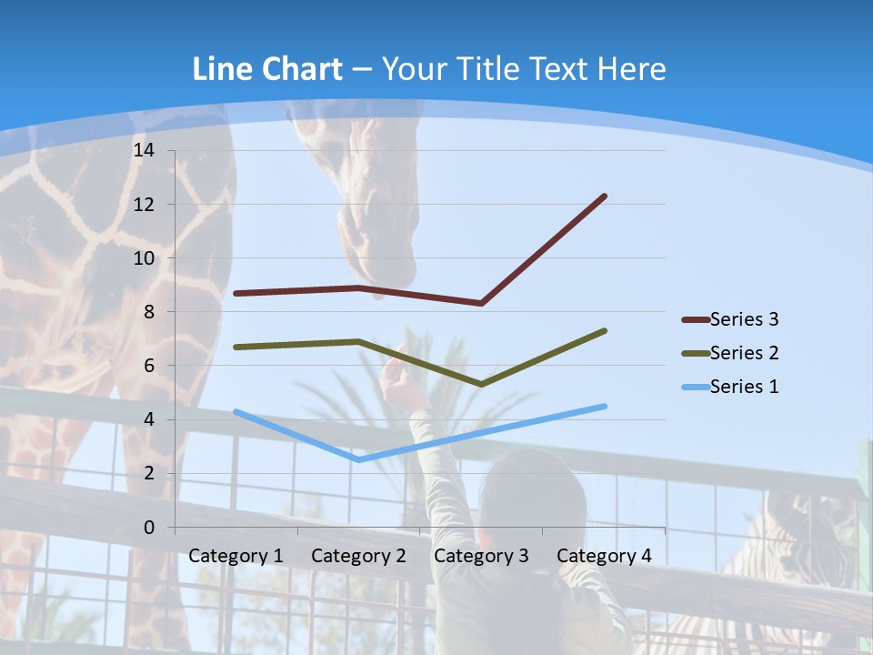 A Woman Feeding A Giraffe Through A Fence PowerPoint Template