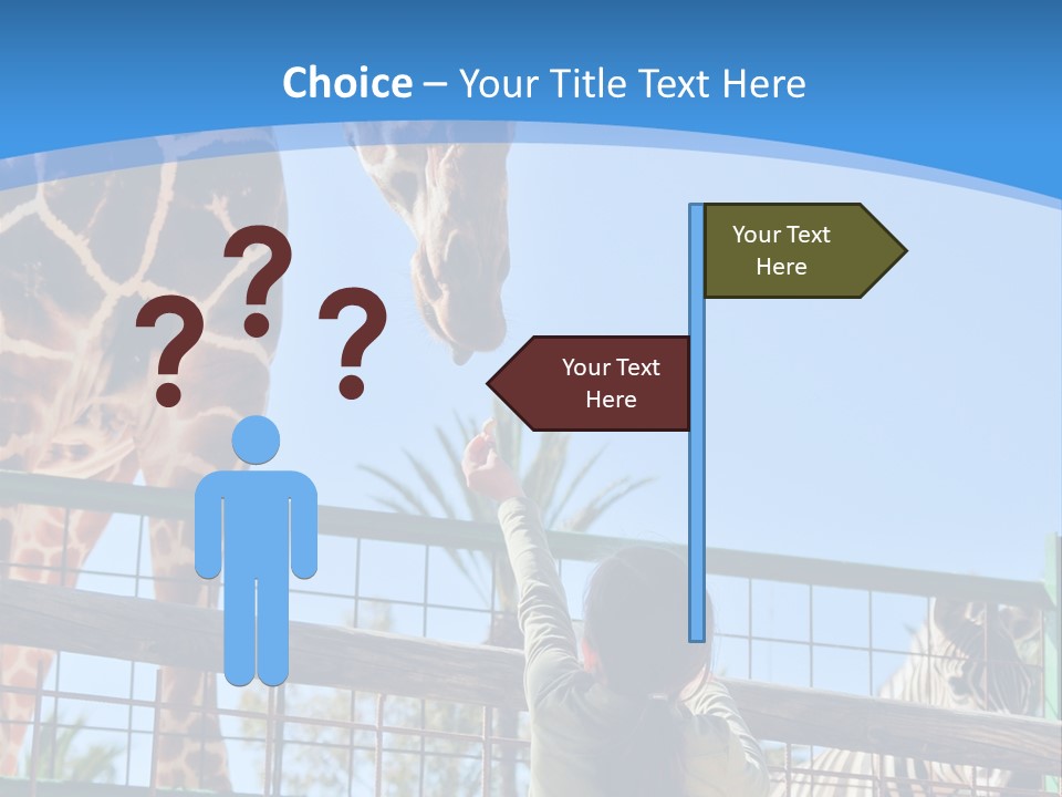 A Woman Feeding A Giraffe Through A Fence PowerPoint Template