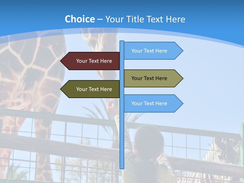A Woman Feeding A Giraffe Through A Fence PowerPoint Template