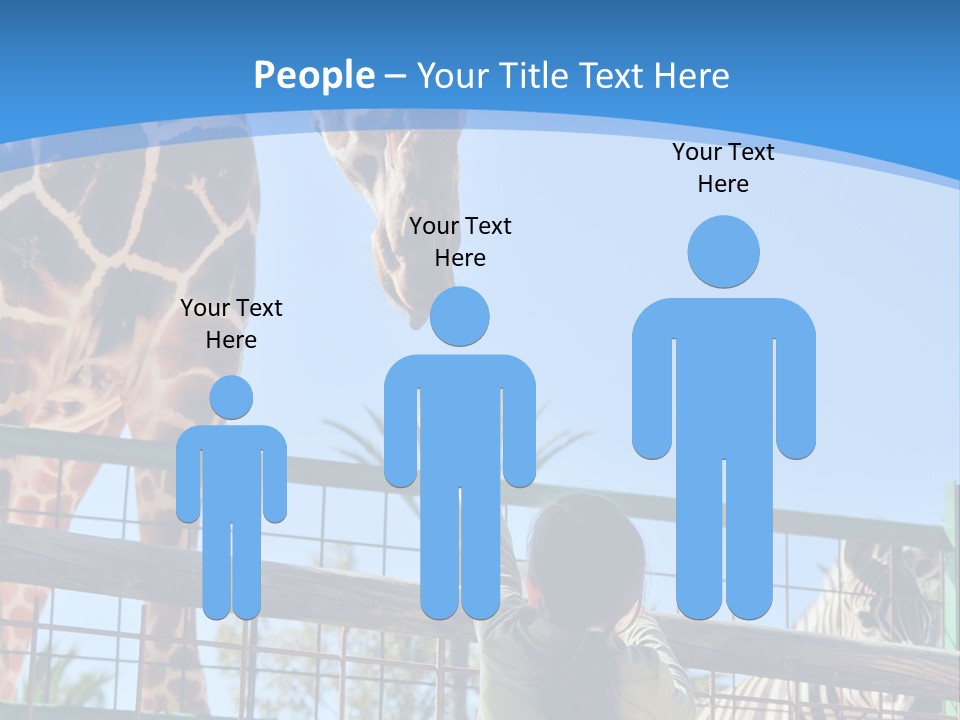 A Woman Feeding A Giraffe Through A Fence PowerPoint Template