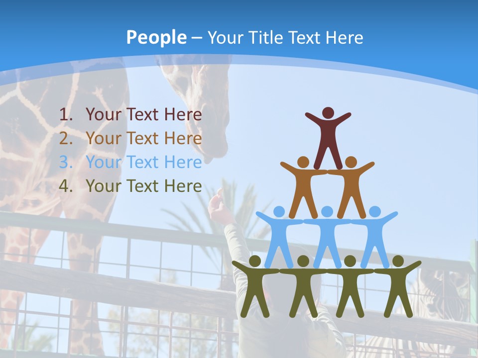 A Woman Feeding A Giraffe Through A Fence PowerPoint Template