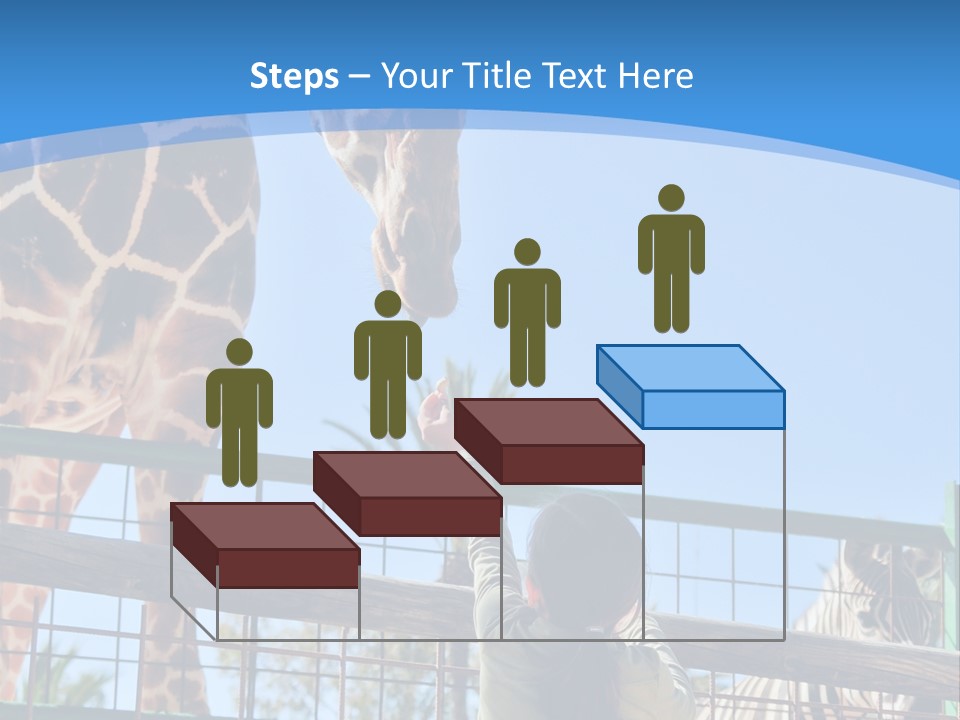 A Woman Feeding A Giraffe Through A Fence PowerPoint Template