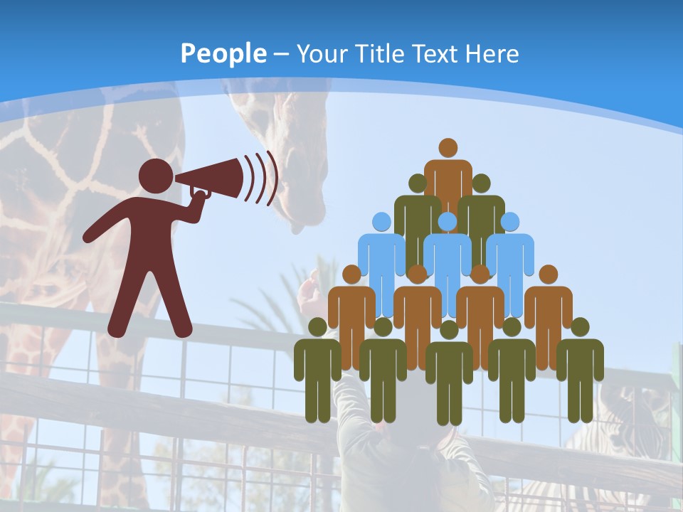 A Woman Feeding A Giraffe Through A Fence PowerPoint Template