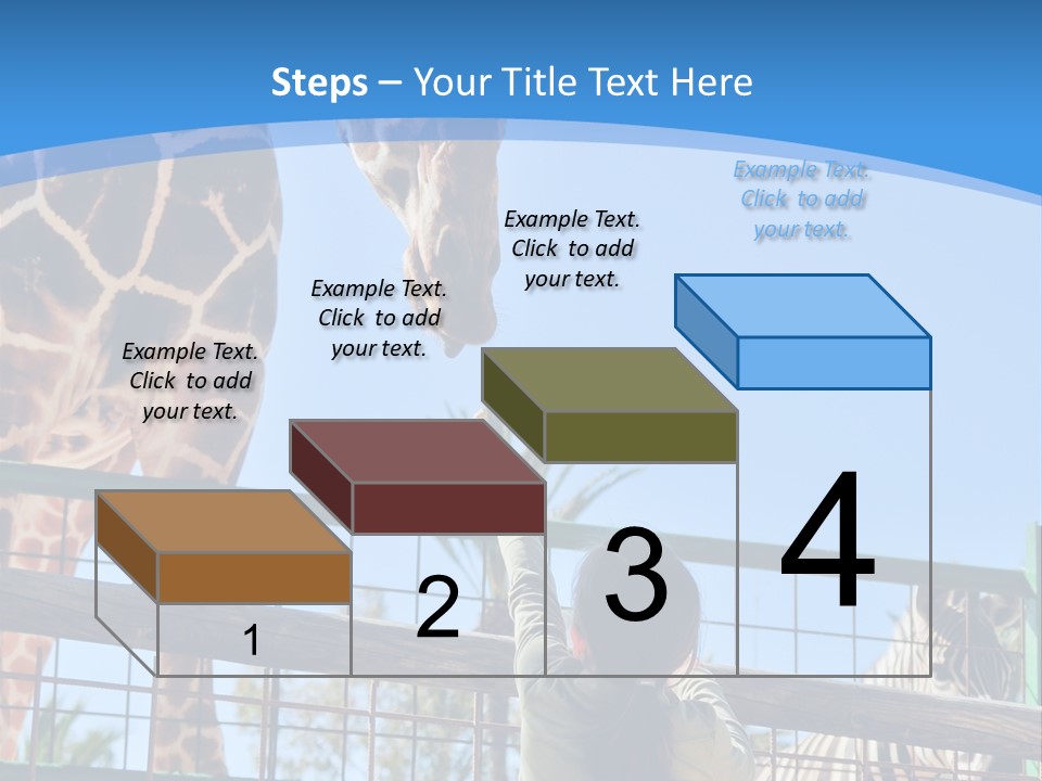 A Woman Feeding A Giraffe Through A Fence PowerPoint Template