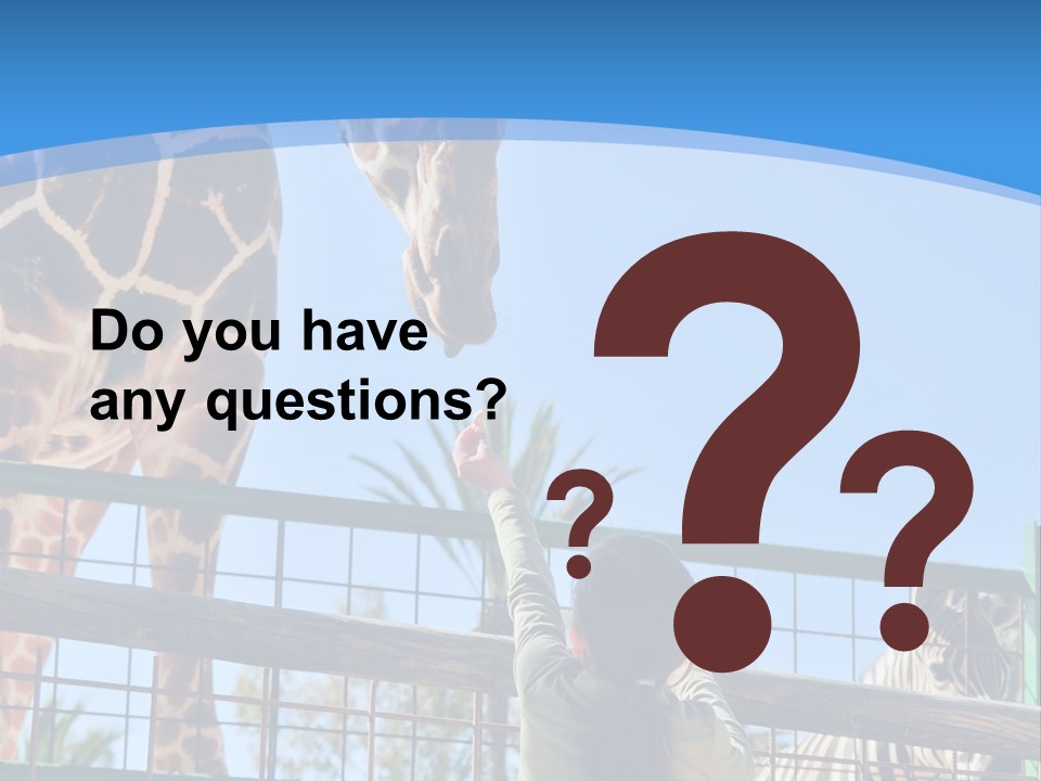 A Woman Feeding A Giraffe Through A Fence PowerPoint Template