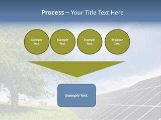A Green Field With A Tree And A Solar Panel PowerPoint Template