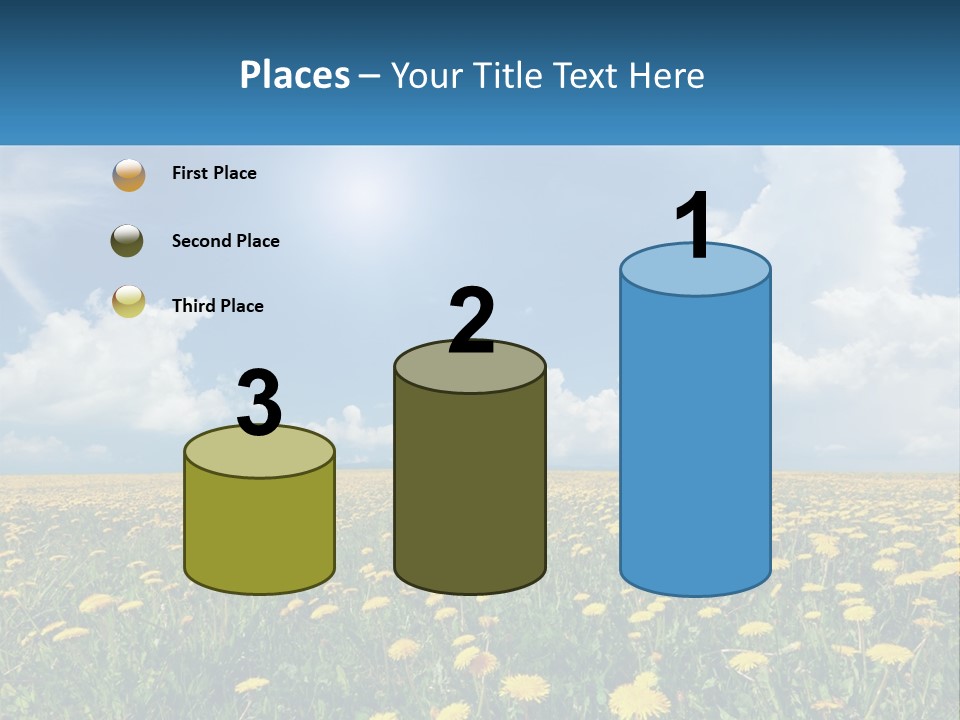 A Field Full Of Yellow Dandelions Under A Blue Sky PowerPoint Template