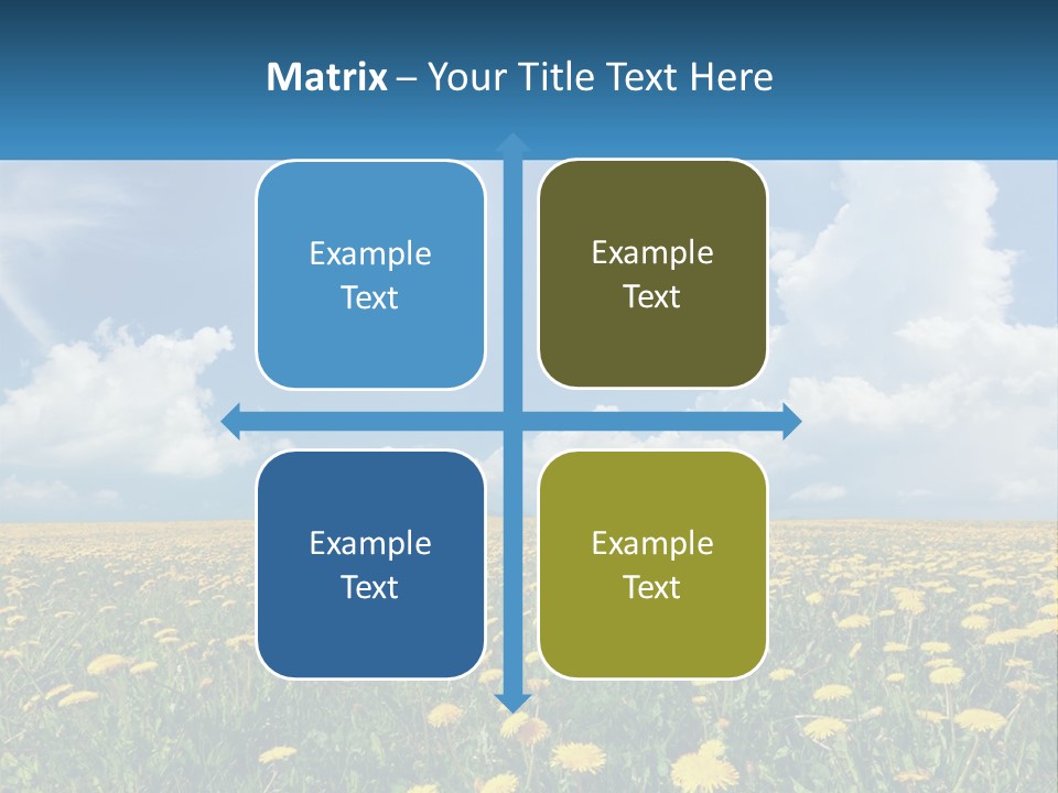 A Field Full Of Yellow Dandelions Under A Blue Sky PowerPoint Template