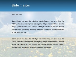 A Field Full Of Yellow Dandelions Under A Blue Sky PowerPoint Template