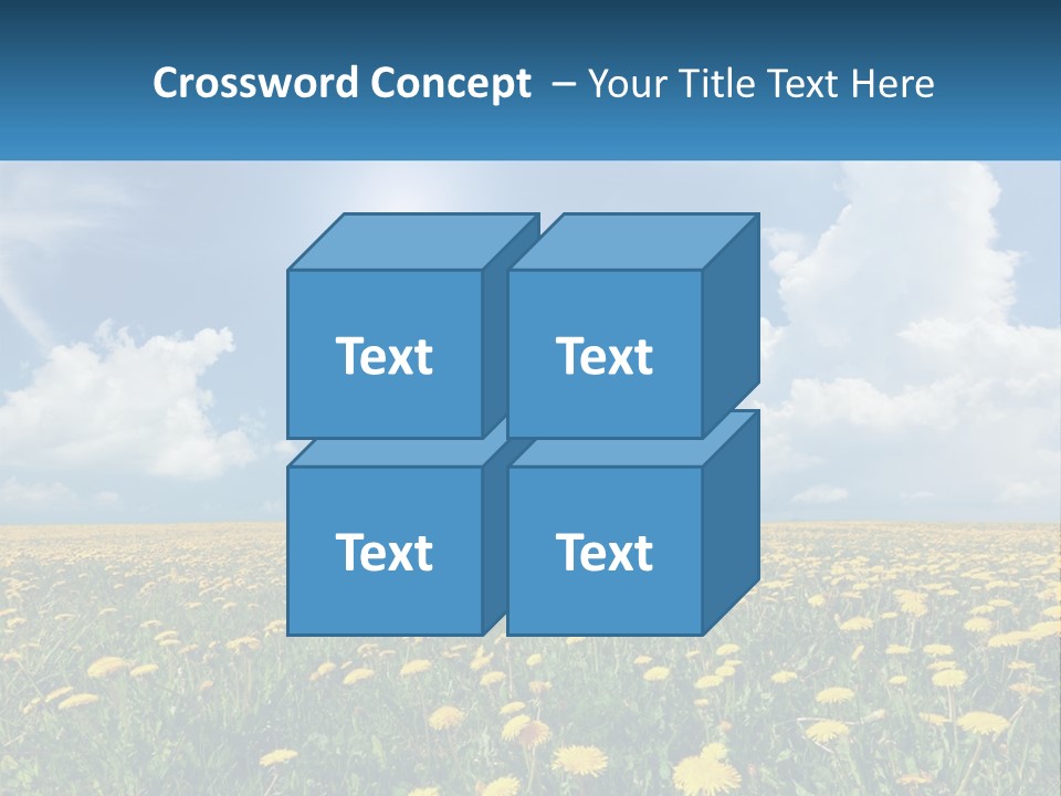 A Field Full Of Yellow Dandelions Under A Blue Sky PowerPoint Template