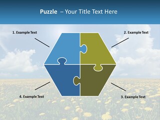 A Field Full Of Yellow Dandelions Under A Blue Sky PowerPoint Template