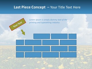 A Field Full Of Yellow Dandelions Under A Blue Sky PowerPoint Template