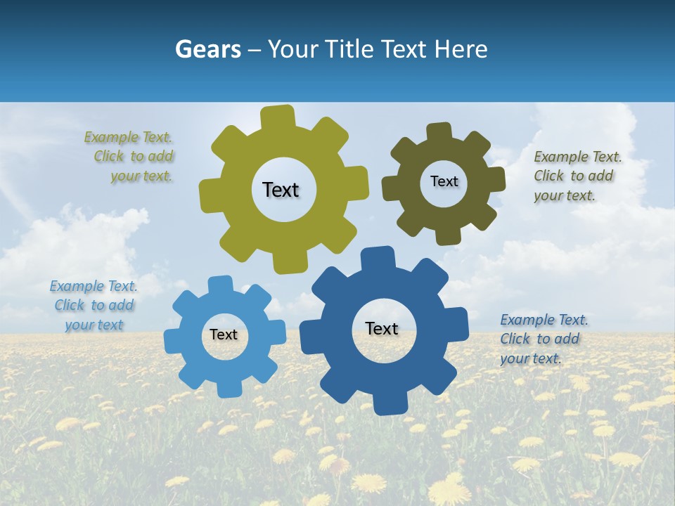 A Field Full Of Yellow Dandelions Under A Blue Sky PowerPoint Template