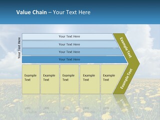 A Field Full Of Yellow Dandelions Under A Blue Sky PowerPoint Template