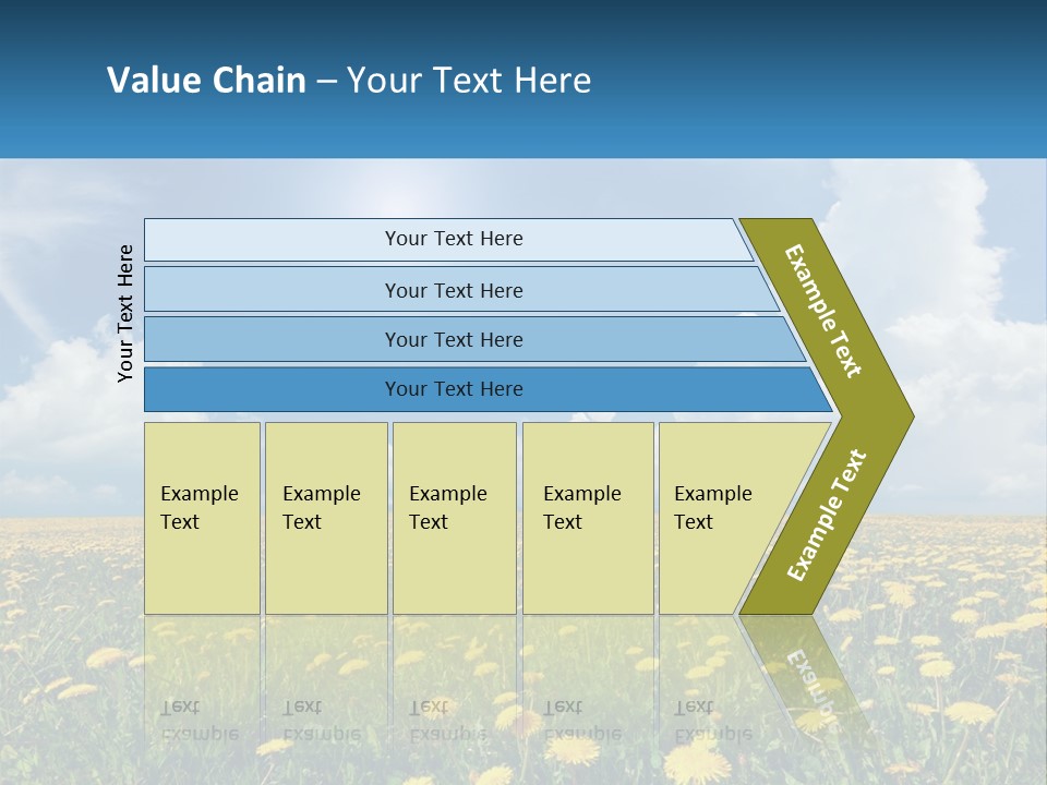 A Field Full Of Yellow Dandelions Under A Blue Sky PowerPoint Template