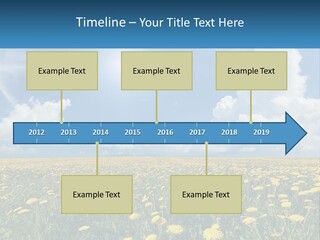 A Field Full Of Yellow Dandelions Under A Blue Sky PowerPoint Template