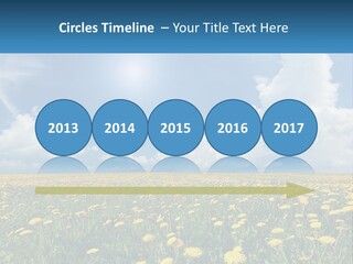 A Field Full Of Yellow Dandelions Under A Blue Sky PowerPoint Template