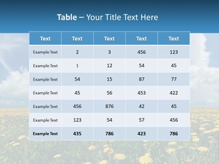 A Field Full Of Yellow Dandelions Under A Blue Sky PowerPoint Template