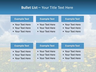 A Field Full Of Yellow Dandelions Under A Blue Sky PowerPoint Template