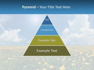 A Field Full Of Yellow Dandelions Under A Blue Sky PowerPoint Template